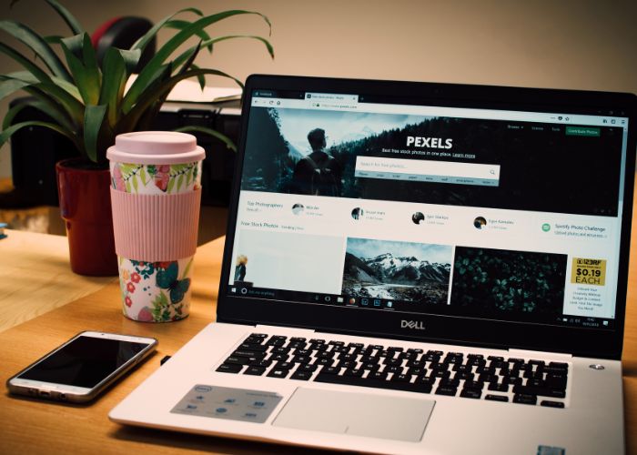 वेब होस्टींग ७