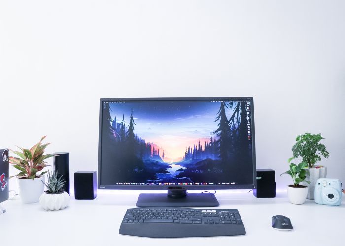 वेब होस्टींग ८