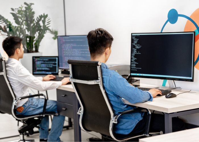 वेबसाईट डेव्हलपमेंट सेवा (Website Development / Programming Service)