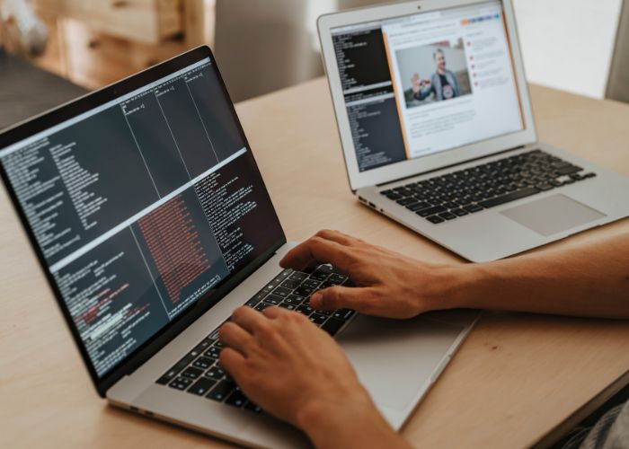 वेबसाईट डेव्हलपमेंट सेवा (Website Development / Programming Service)