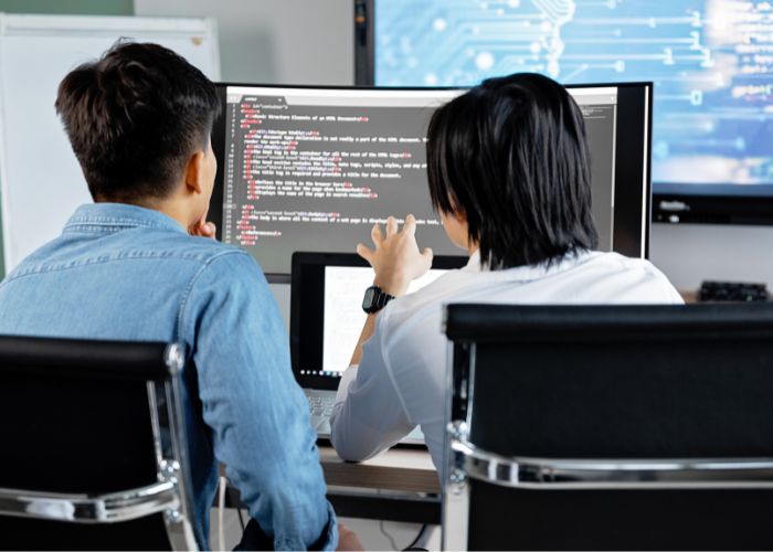 💻 वेबसाईट डेव्हलपमेंट सेवा (Website Development / Programming Service)